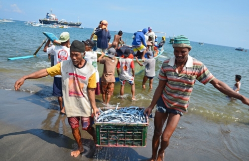 Riau Terima Aliran Anggaran Sektor Perikanan dan Kelautan Sebesar Rp6,19 Miliar