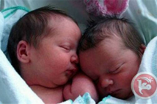 30 Bayi Palestina Berasal dari Sperma yang Diselundupkan dari Penjara Israel