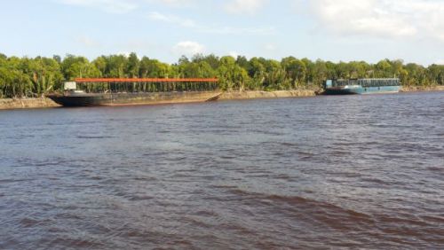Kapal Tongkang Milik PT Arara Abadi Dituding Sebagai Biang Perusak Hutan Bakau di Bibir Pantai Pulau Untut