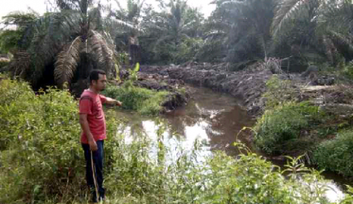 Dituding Tak Serius Normalisasi Sungai Buluh, AMPKB Beberkan Kecurangan PT Adei Plantation