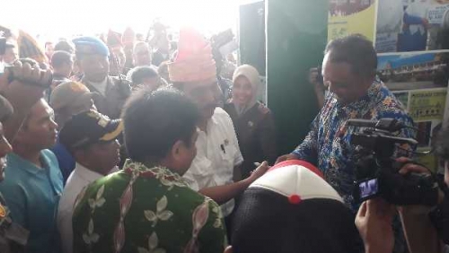 Menko Luhut Sebut Kelapa Sawit akan Menjadi Industri Strategis Indonesia