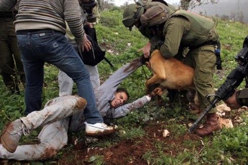 Ditembak Tentara Israel, 2 Pesepak Bola Palestina tak Bisa Lagi Berjalan