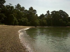 GoRiau Penjaga Pulau Milik Ratu Atut Hanya Digaji Rp300 Ribu/Bulan