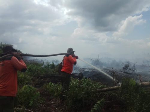Karhutla di Mumugo, Bangsal Aceh dan Teluk Lecah Terbakar Hebat, Manggala Agni Kerahkan Kekuatan Penuh ke Dumai dan Bengkalis