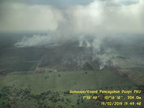 Dua Daerah Tetapkan Status Siaga Darurat Kabut Asap Akibat Karhutla, Provinsi Riau Menyusul, Rakor Direncanakan Senin