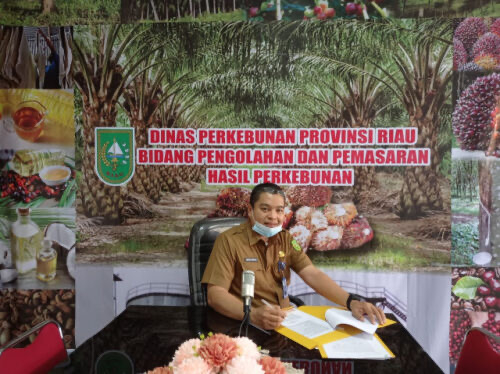 Penguatan CPO Kerek Harga Komoditas Sawit Riau
