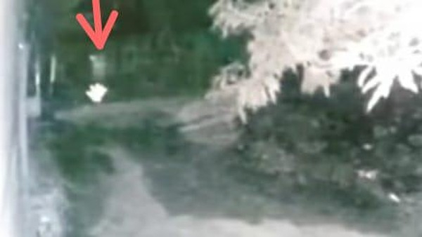Video Pocong Dikejar Anjing Bikin Heboh, Begini Pengakuan Pemilik CCTV
