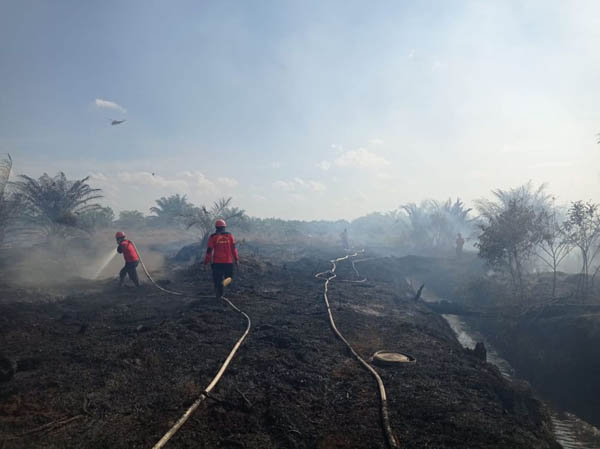 Pekanbaru dan Bengkalis Tetapkan Status Siaga Darurat Karhutla, Provinsi Riau Siapkan Antisipasi