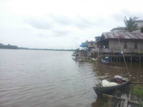 Ribuan Ikan Mati di Sungai Kampar, IPM-KP: Belum Ada Upaya Perbaikan Ekosistem oleh Dinas Terkait