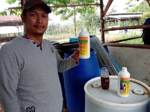 Kadin: Program RTMPE Kampar Potensi Ketahanan Pangan Energi Riau dan Nasional