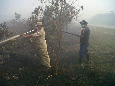 2.000 Ha Lahan Terbakar, Bengkalis Diselimuti Kabut Asap
