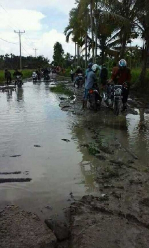 DPRD Inhil Minta Pemkab Segera Realisasikan Pembangunan Jalan Pulau Kijang - Kotabaru