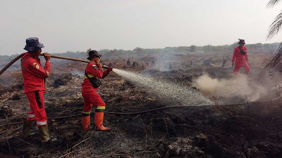 Karhutla di Sungai Segajah Jaya Berhasil Dituntaskan, 7,5 Hektare Lahan Berhasil Diamankan