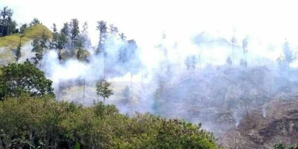 Titik Panas Riau Meningkat Signifikan, Bengkalis Sumbang Hotspot Terbanyak