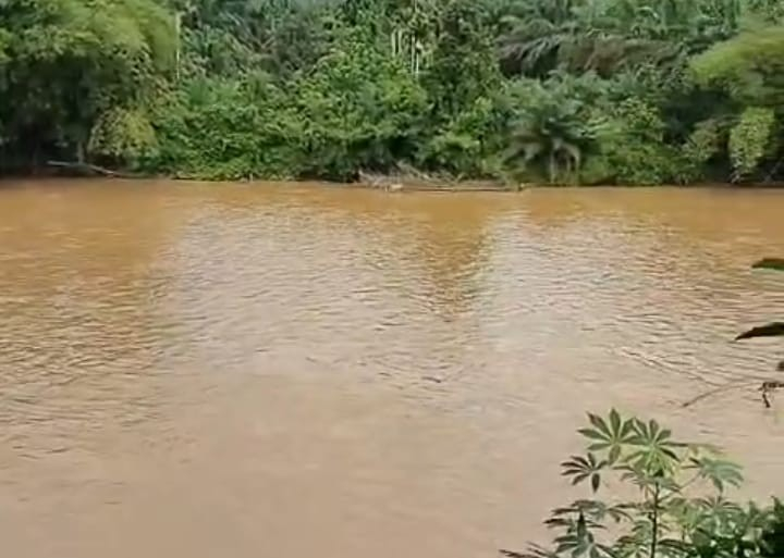 Ancaman Krisis Ekologis Lintas Provinsi, Walhi Riau dan Sumbar Desak Evaluasi DAS Kampar