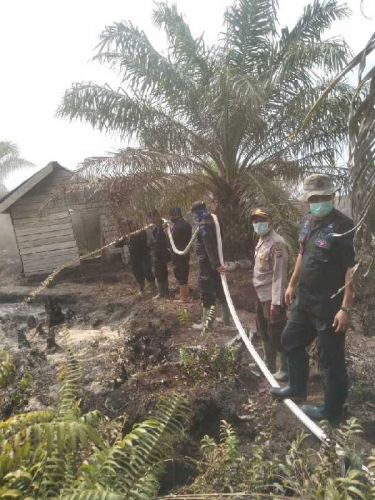 Polres Rohil Buru Pembakar 5 Hektare Lahan di Desa Teluk Nilap Rohil
