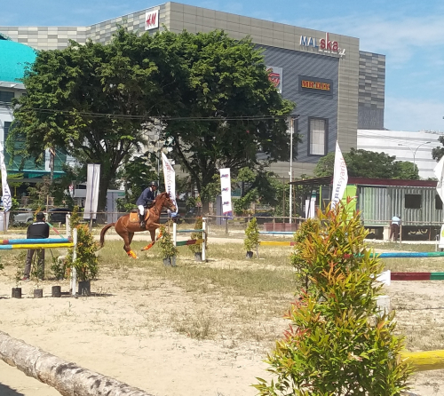 Show Jumping Kuda untuk Sambut HUT Ke-75 Kemerdekaan RI