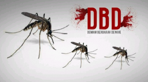 Hingga Oktober 2016, Terjadi 102 Kasus DBD di Pelalawan