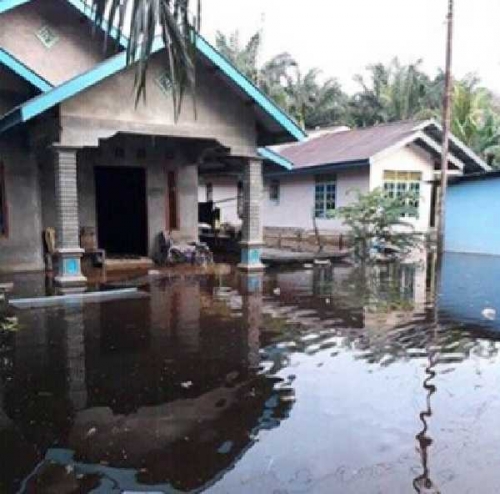 Puluhan Rumah Lubuk Siam Siak Hulu Kampar Digenangi Luapan Air Sungai