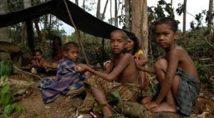 GoRiau Bentrok dengan Suku Anak Dalam, 2 Warga Tertembak