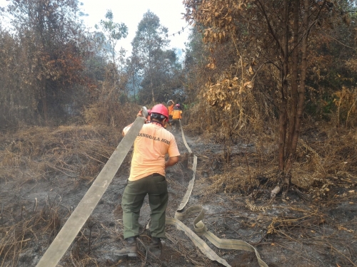 30 Hektare Lahan di Mumugo Rohil Terbakar Hebat, Manggala Agni Daops Pekanbaru dan Dumai Dikerahkan Padamkan Api