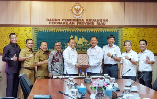 Tercepat di Riau, Pemkab Meranti Serahkan LKPD Tahun 2019 kepada BPK RI
