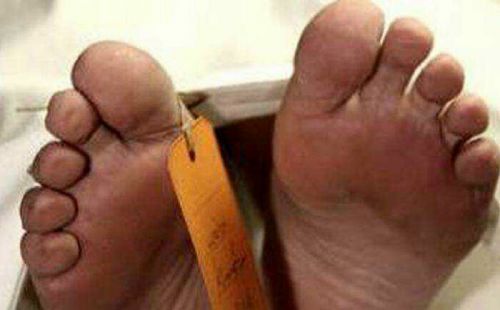 Bocah SD, Anak Semata Wayang Tewas Terlindas Truk Balak Milik PT Arara Abadi