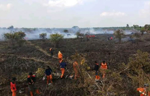 Sisa Kebakaran di Desa Batang Nilo Kecil Kembali Membara