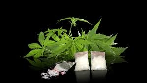 Bawa Daun Ganja Kering dan Simpan Sabu, Warga Karang Anyer II Duri Diciduk Satnarkoba Polres Bengkalis