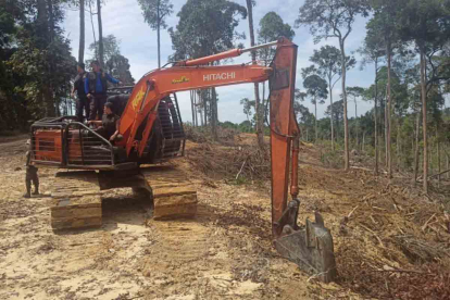 GoRiau DLHK Riau Panggil Pemilik Alat Ekskavator Terkait Perambahan Hutan di Kampar