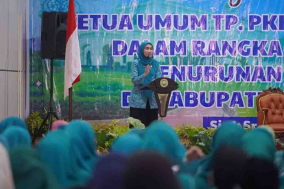 GoRiau Ketua TP PKK Riau Ajak Ibu Muda Riau Aktif Imunisasi Balita