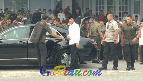 Presiden Jokowi Melakukan Peninjauan Lokasi Karhutla ke Bunut Pelalawan