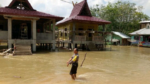 GoRiau Belum Ada Tanda  tanda Banjir  Sungai Nilo Surut 