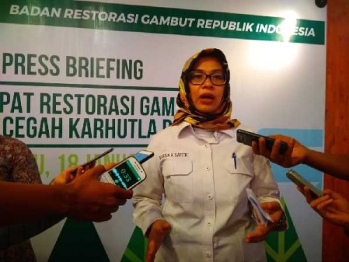 Dimulai Januari 2019, BRG akan Lakukan Supervisi dan Asistensi Restorasi 814 Ribu Hektar Lahan Gambut di Riau