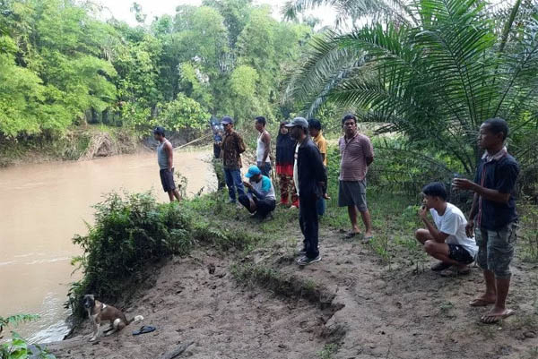 Mandi Pagi di Sungai Batang Masang, Siswa SD Diserang Buaya