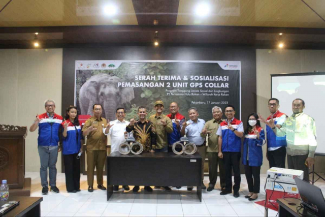 PHR Permudah Pantau dan Lindungi Gajah Sumatra dengan GPS Collar