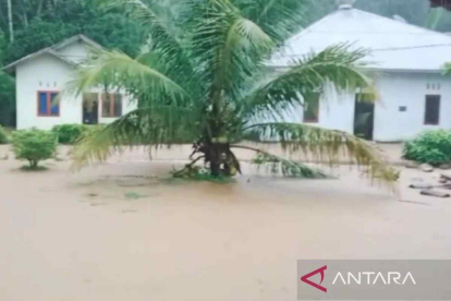 GoRiau Banjir Terjang Batang Kapas, 1.459 Rumah Warga Terendam