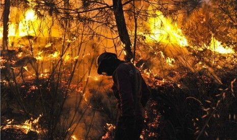 Asap Riau Sudah Sampai ke Aceh, Polisi Masih Cari Dalang Kebakaran Hutannya