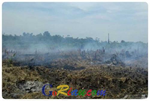 Warganya Ditangkap Lantaran Bakar Lahan, Ratusan Massa Datangi Polsek Sinaboi, Rohil