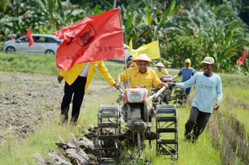 Cagub Riau Nomor Empat Bajak Sawah di Bunga Raya Siak