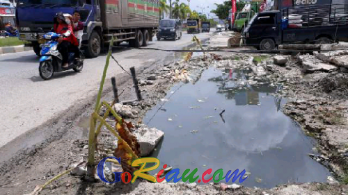 Hati-hati Melintas di Jalintim Pangkalan Kerinci, Kendaraan Anda Bisa Terperosok