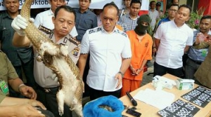 GoRiau Polisi Berpangkat Brigadir di Riau Bisa Peroleh Rp7 Miliar Setahun, Ternyata Ini Bisnisnya