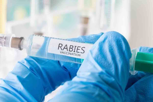 Pekanbaru Tetap Laksanakan Program Vaksinasi Rabies Gratis Bagi Hewan Peliharaan