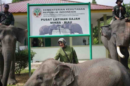 GoRiau Kunjungi PLG Minas, TP PKK Pusat Suarakan Perlindungan Gajah Endemik