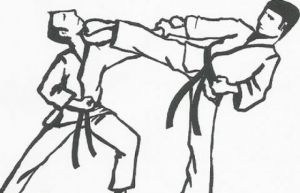 GoRiau Bocah SD dari Pelalawan Ini Wakili Indonesia di Kejuaraan Karate Dunia