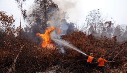 100 Personil Tim Reaksi Cepat Karhutla Riau Terbentuk