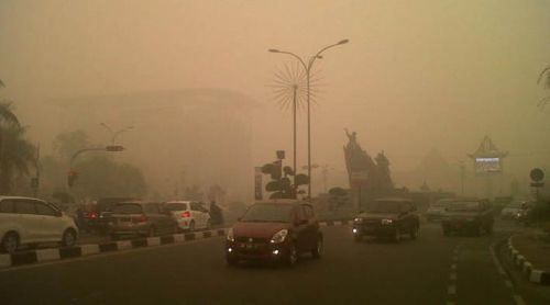 Udara Pekanbaru Semakin Tak Sehat, 1.705 Warga Terserang ISPA