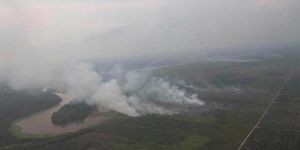 GoRiau Singapura dan Malaysia Minta Indonesia Segera Atasi Kebakaran Hutan di Riau