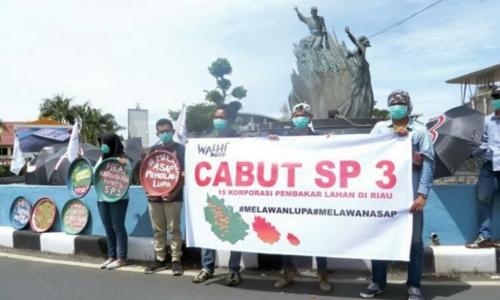 BPS Sebut SP3 Perusahaan Pembakar Lahan Pengaruhi Indeks Demokrasi di Riau