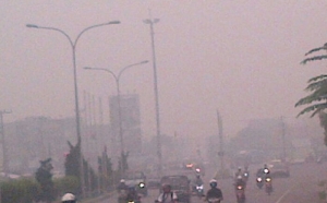 GoRiau Gaya Orde Baru, Ada Instansi Tekan BMKG Agar Tak Sebar Data Kebakaran Hutan dan Lahan